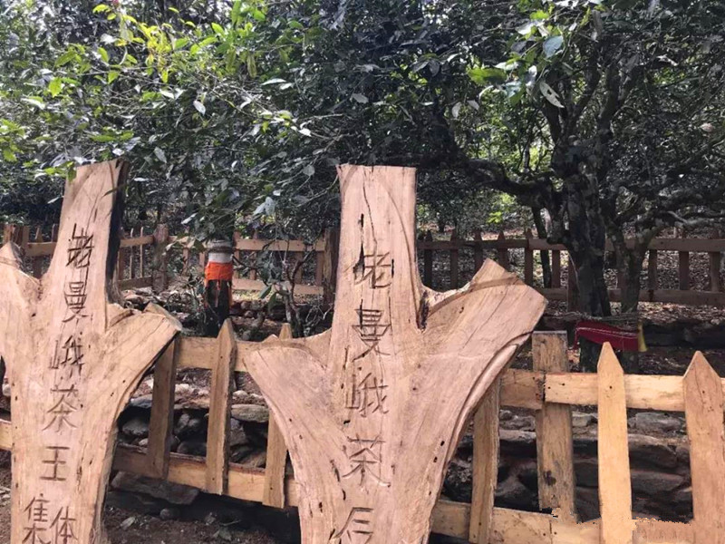 星星动漫网宝典——一本久道综合在线无码，解锁你的二次元世界无限可能