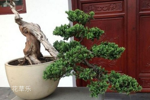 蛋白质是——亚洲av综合天堂在线观看，生命之源，健康的关键，你了解多少？
