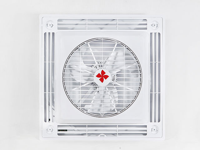 儿茶素片——，绿色健康的守护神，你了解多少？