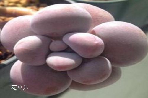 E卡口35镜头国产成人盗摄精品a片在线观看，定格生活，重塑影像艺术的新维度
